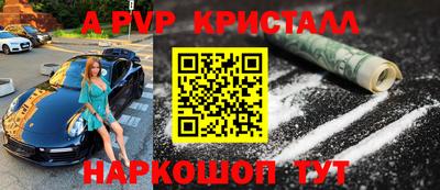 стафф Дубна