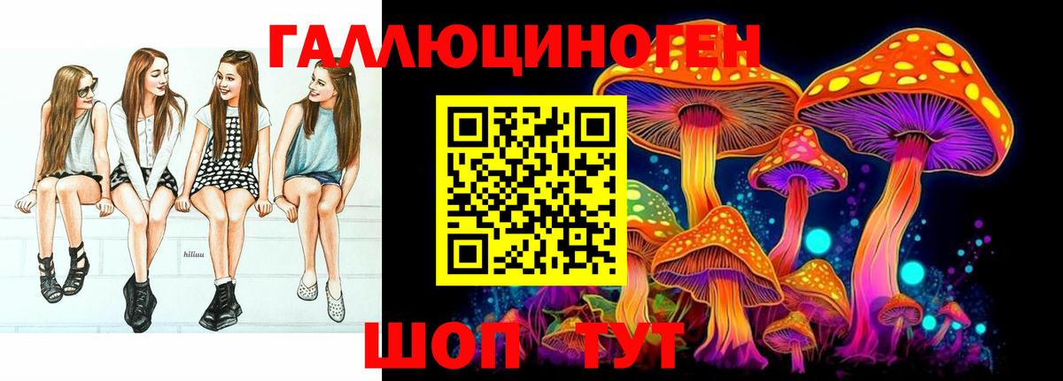 Галлюциногенные грибы Psilocybe Курчатов
