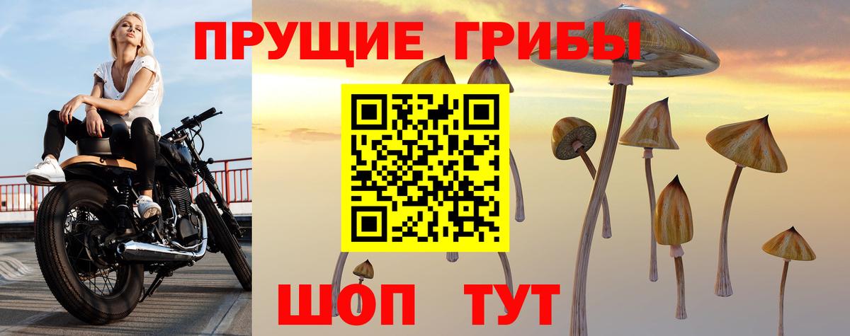 Псилоцибиновые грибы Psilocybe  Вход с VPN  Курчатов 