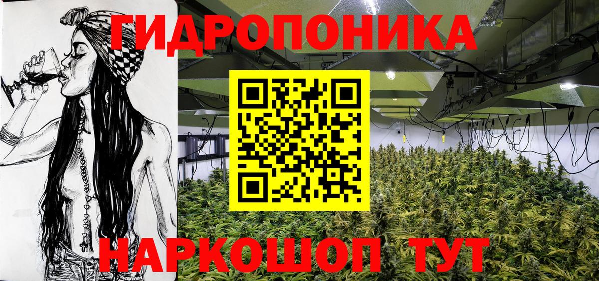 Курчатов  Канабис марихуана  Шишки марихуана гибрид  Вход с VPN  Бошки марихуана VHQ  Канабис White Widow 